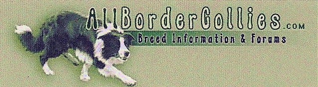 All Border Collies logo link