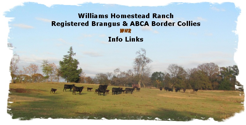 Williams Homestead Ranch Infolinks page with web sites and articles related to Brangus Cattle operations and Border Collies