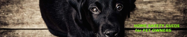 logo home sagety for pets