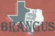 Texas Brangus logo
